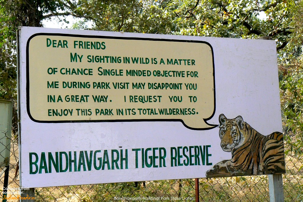 5 Best Places In India For A Tiger Safari