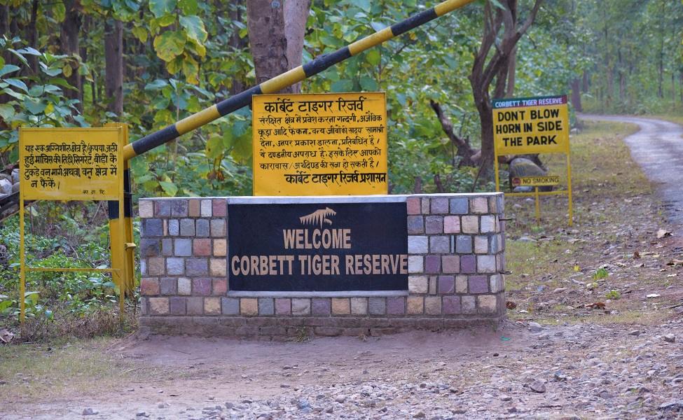 5 Best Places In India For A Tiger Safari