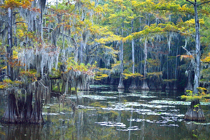 7 Best Lakes In The United States To Visit