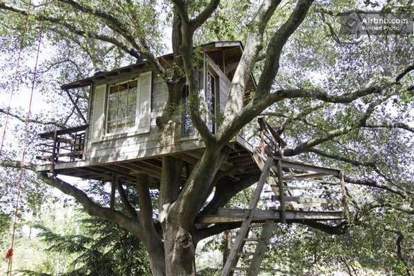 10 Most Luxurious Treehouse Hotels In North America