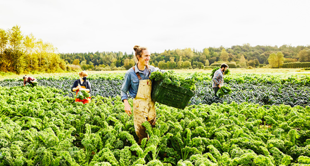 sustainable-and-ethical-food-sourcing