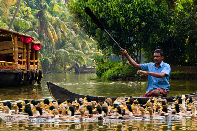 Things to do in Alleppey , Kerala