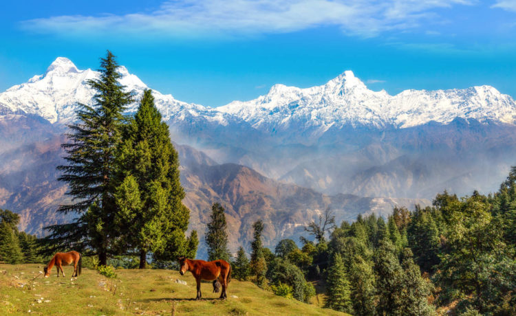 Top 5 Hill Stations In Uttarakhand