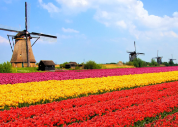 Places in Netherlands