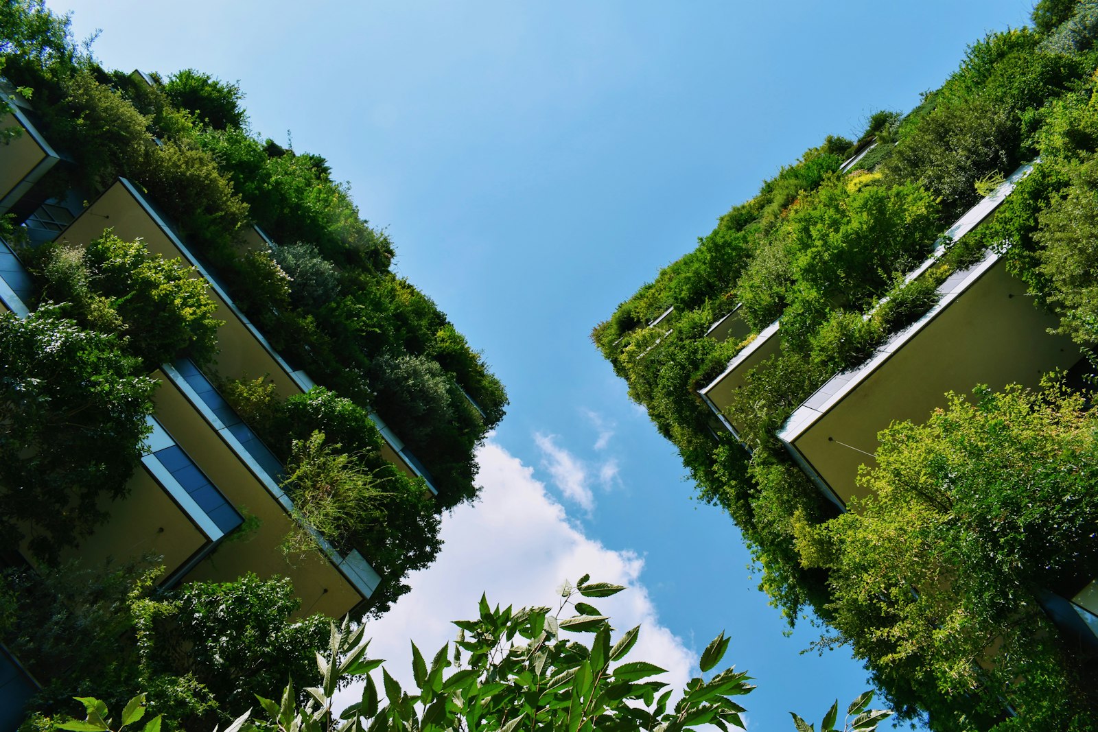 Building balconies planted with trees and greenery