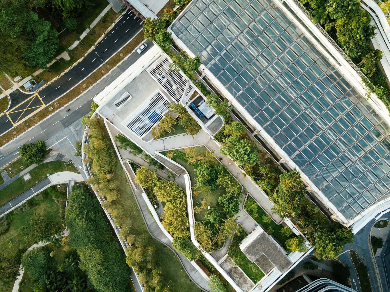 Aerial view of planted roofs and modern buildings