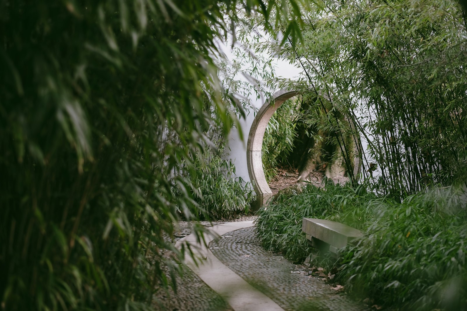 Curved walkway surrounded by dense greenery