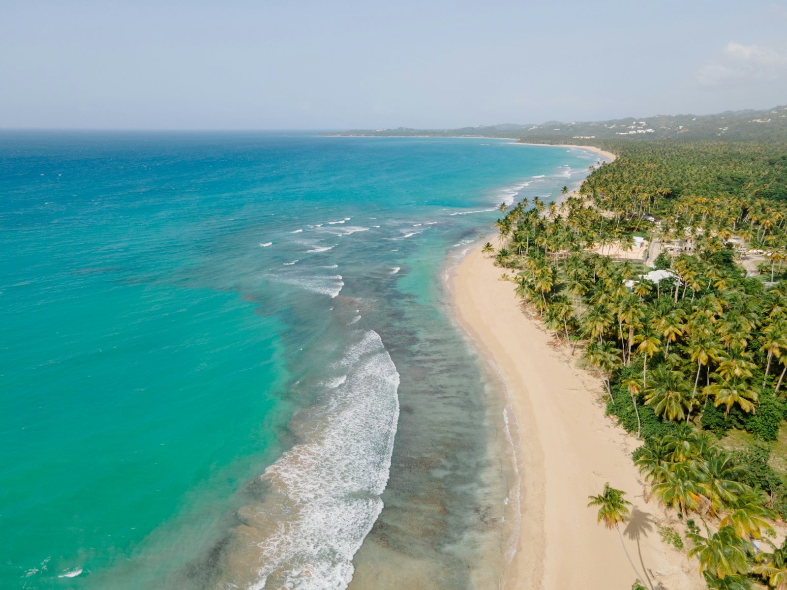 Aerial view of a beach lined with palm trees