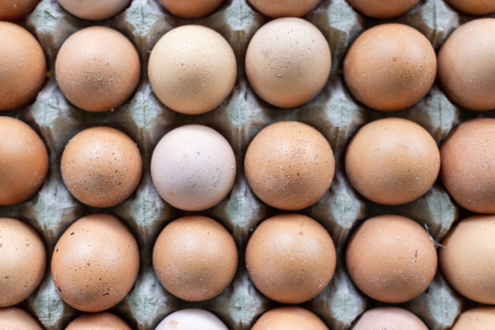 Brown eggs in a carton
